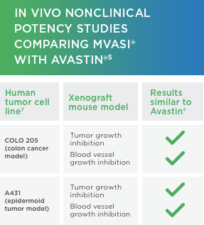 MVASI® in vivo nonclinical data compared to
Avastin® 