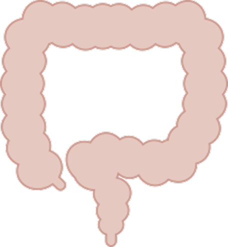 cancer spread to colon