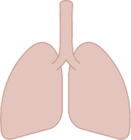 Lungs with cancer