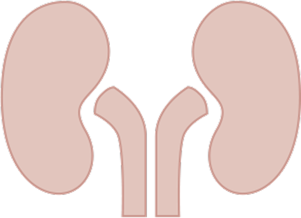 Cancer spread to kidneys